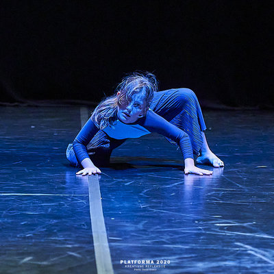 Freely Ahead: Youth Platform, Video dance, and Dance Communication Lab #FocusBudapest <em>Photo: David Orešič</em>